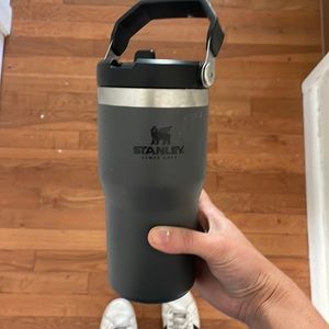 Stanley ice flow flip straw